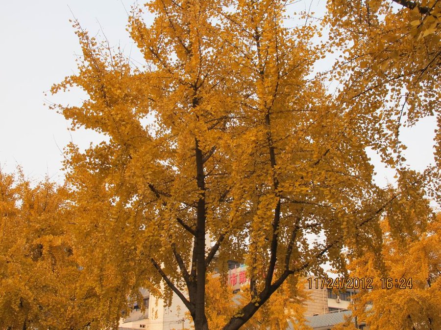 调整大小 照片 008.jpg