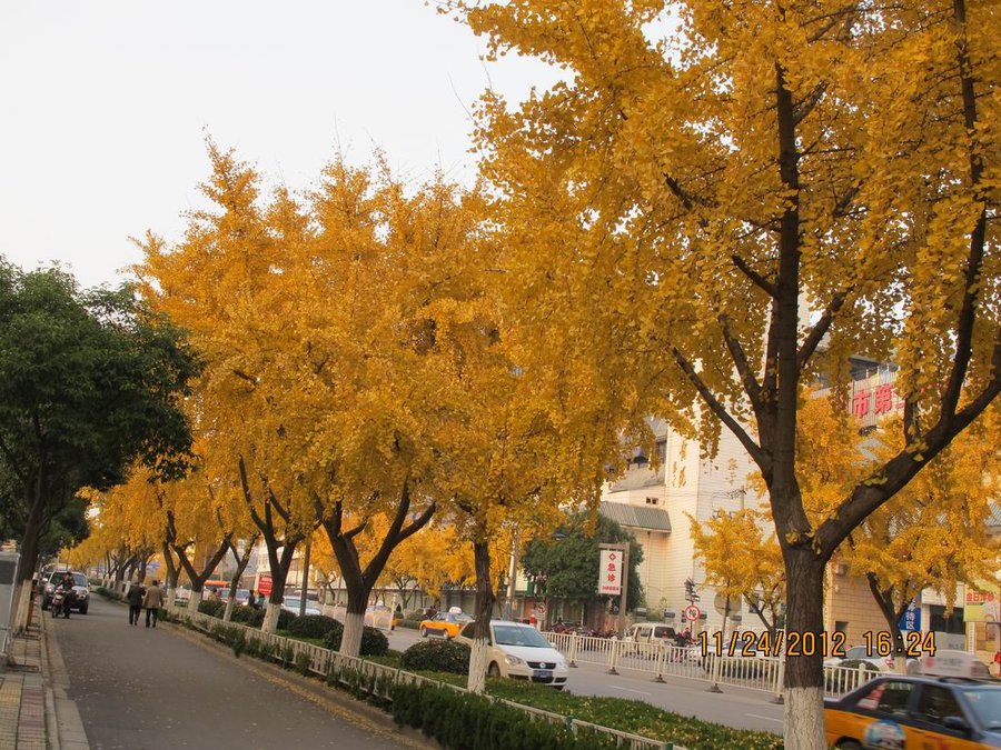 调整大小 照片 009.jpg