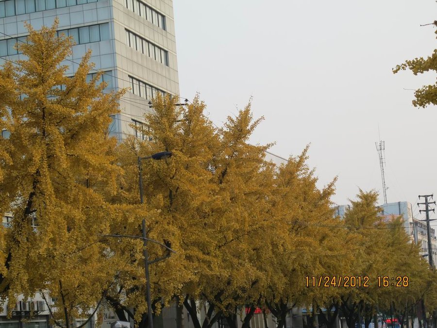 调整大小 照片 015.jpg