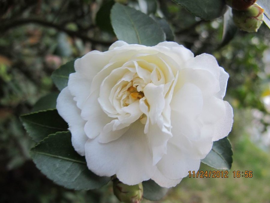 调整大小 照片 018.jpg