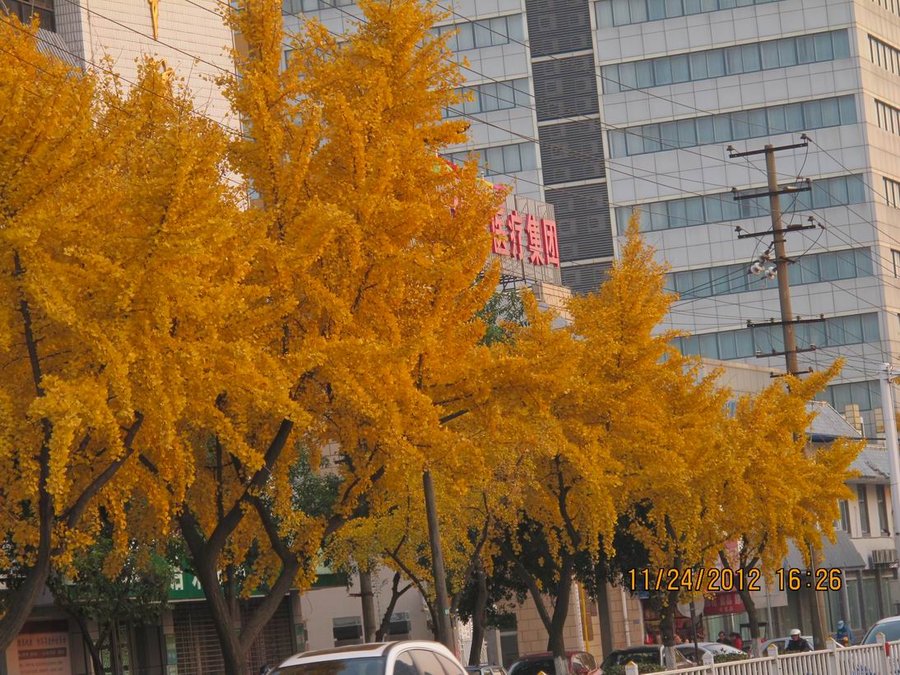 调整大小 照片 011.jpg