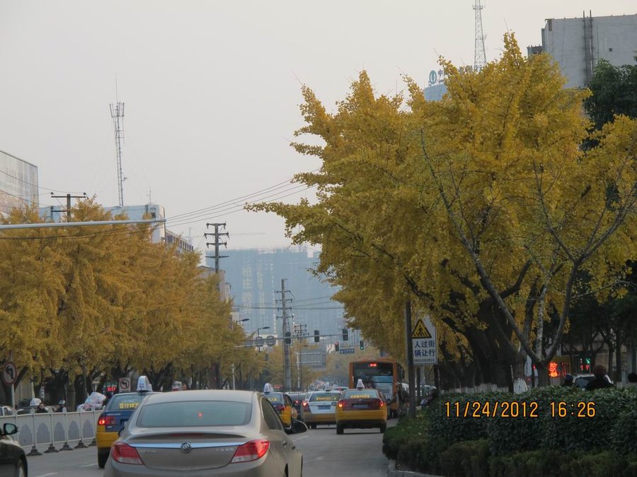 调整大小 照片 012.jpg