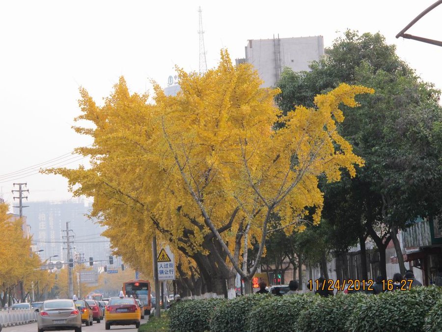 调整大小 照片 013.jpg