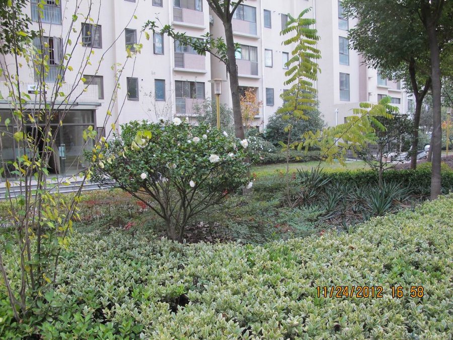 调整大小 照片 025.jpg