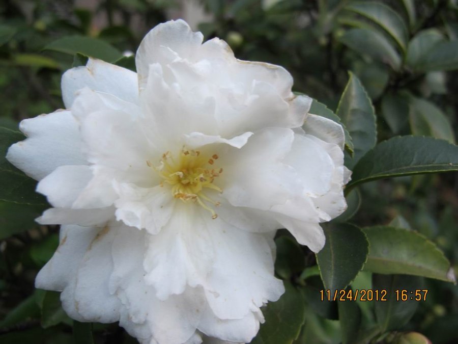 调整大小 照片 022.jpg