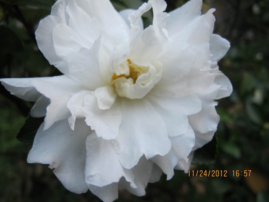 调整大小 照片 023.jpg