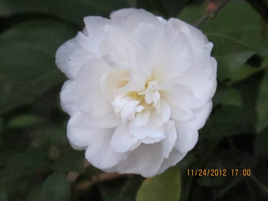 调整大小 照片 030.jpg