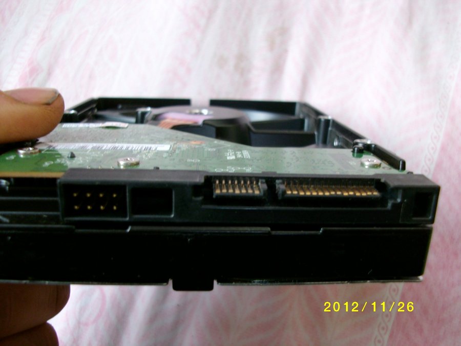 SANY0208.JPG