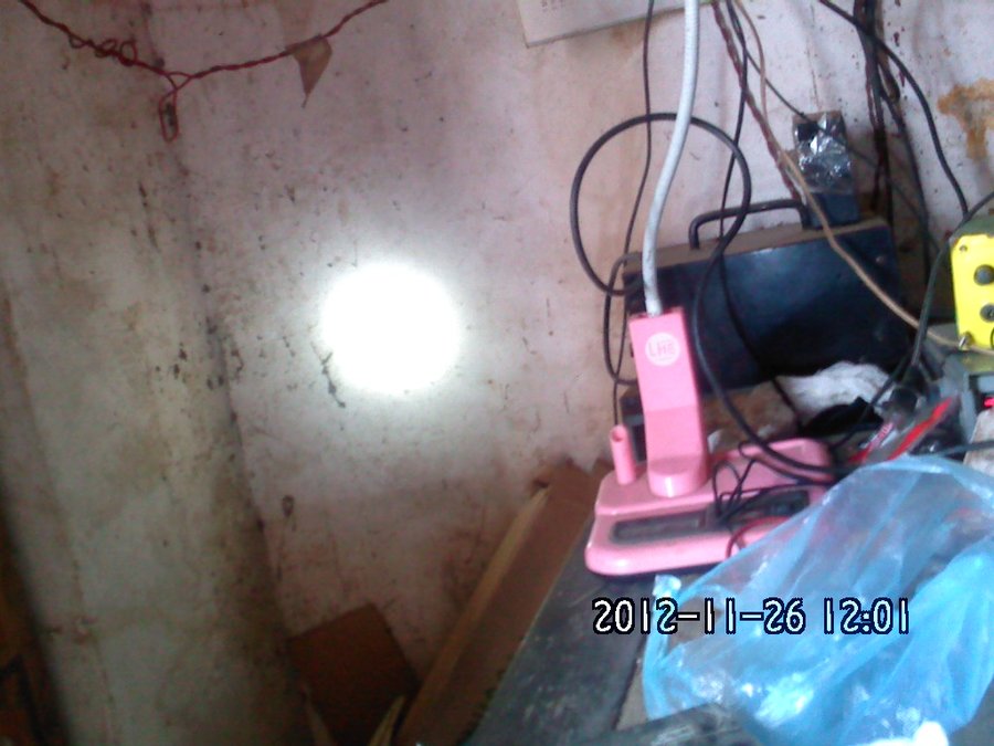 2012863.jpg