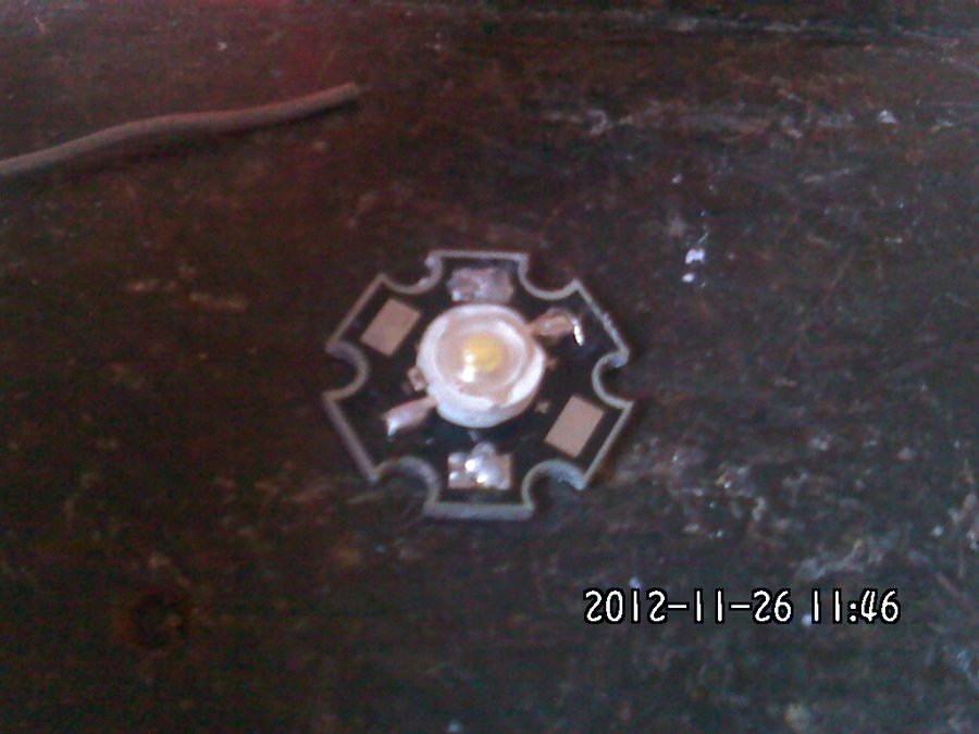 2012858.jpg