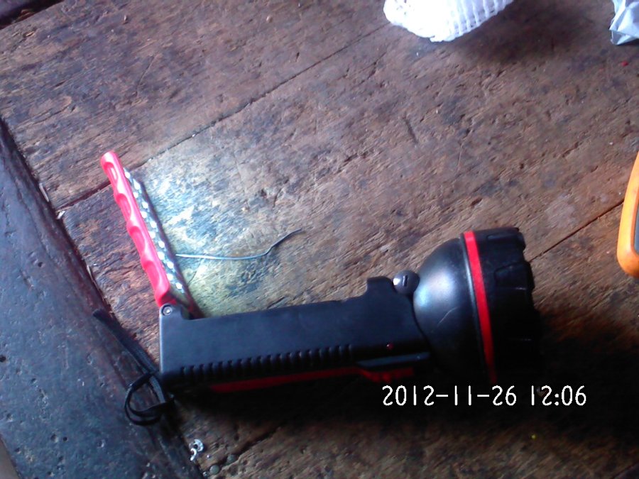 2012866.jpg