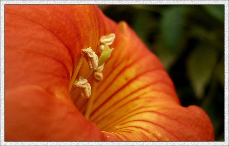 IMG_1900.jpg
