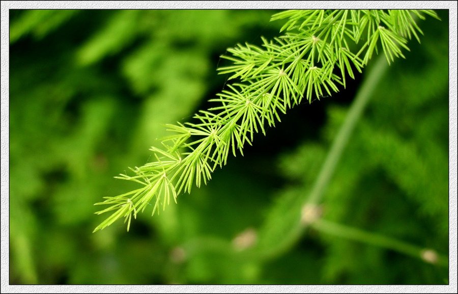 IMG_1999.jpg