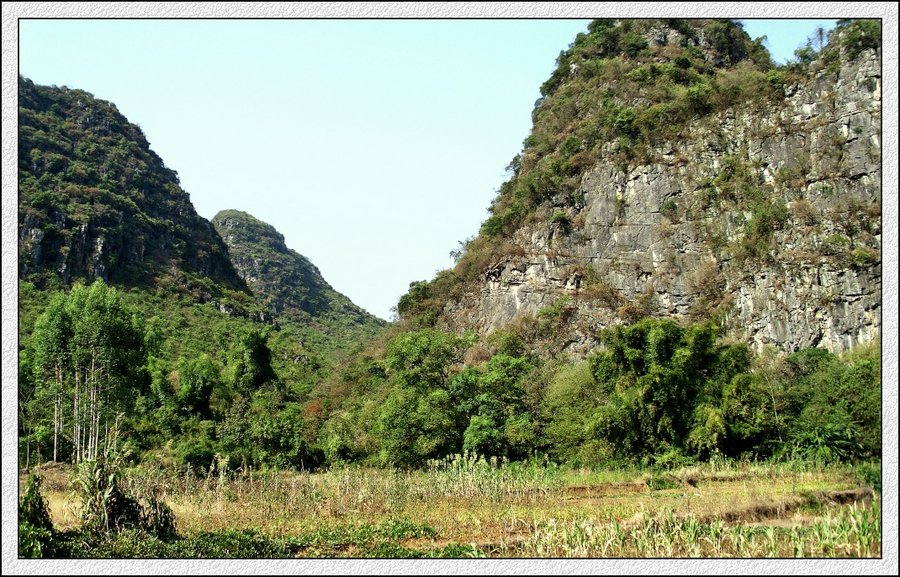 IMG_2116.jpg