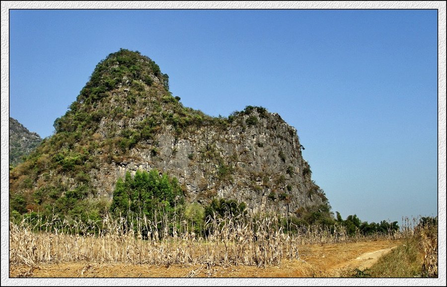 IMG_2127.jpg