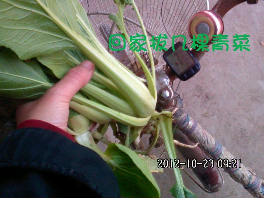 码表4.jpg