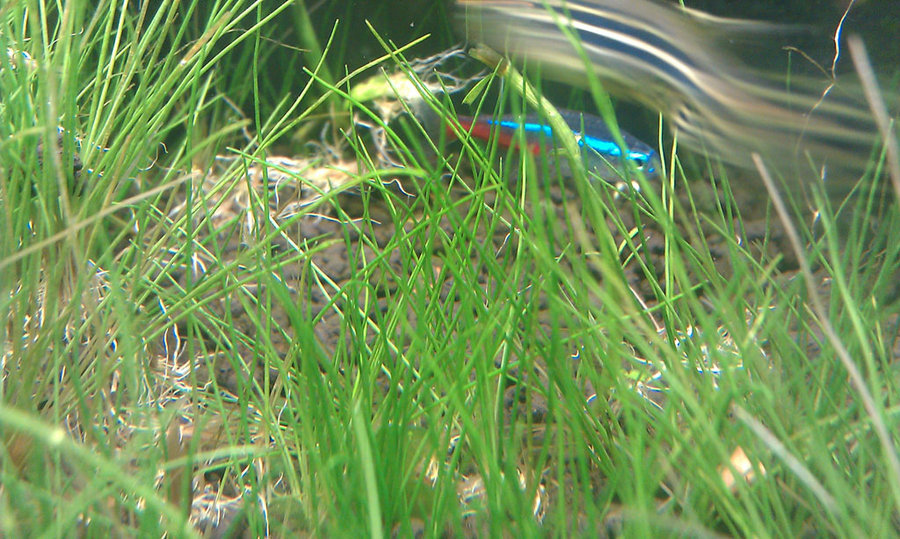 IMAG0044_1.jpg
