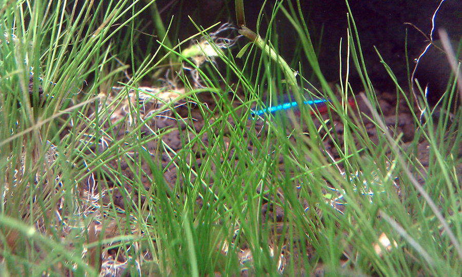 IMAG0045_1.jpg