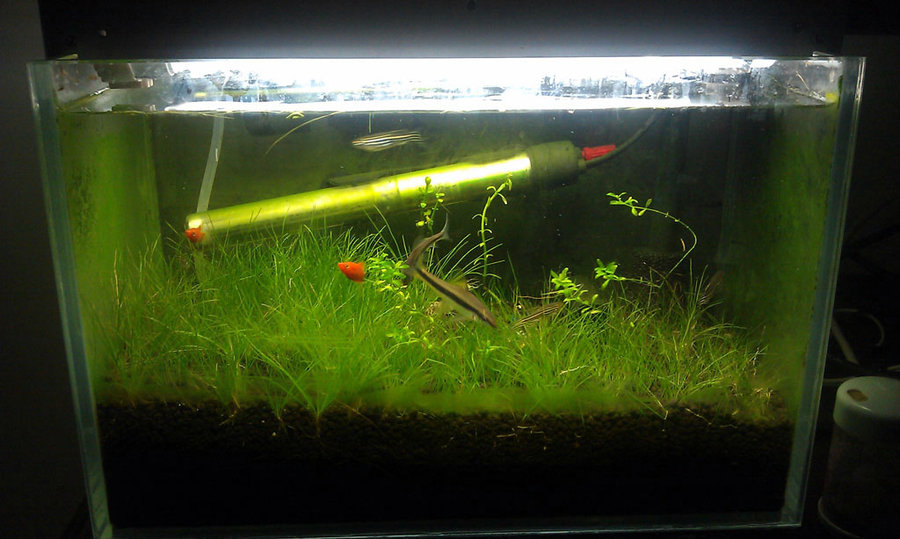 IMAG0042.jpg