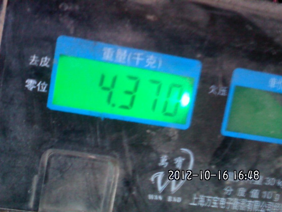 社建电子491.jpg