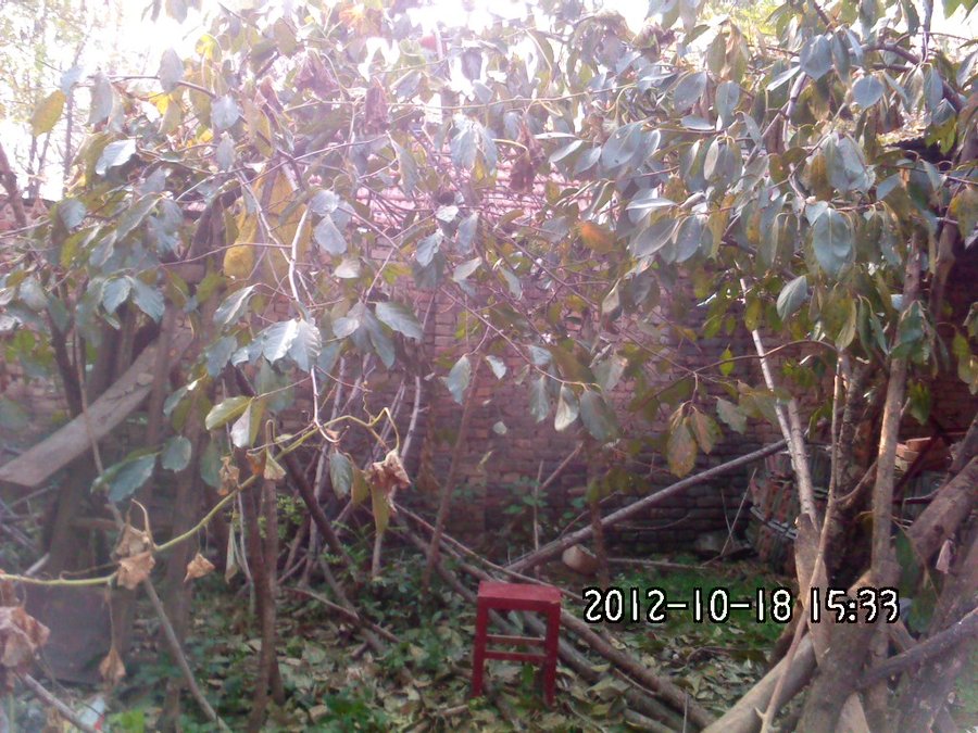 社建电子517.jpg