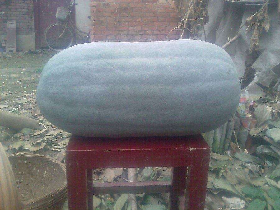 IMAG0003.jpg