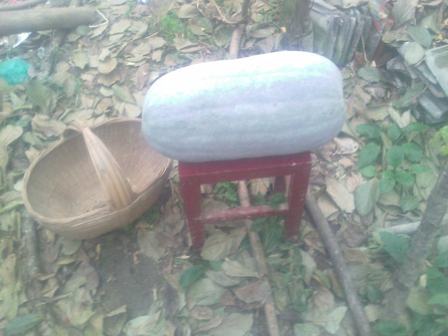 IMAG0004.jpg