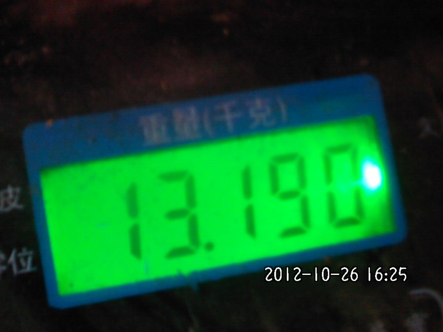 冬瓜重量.jpg
