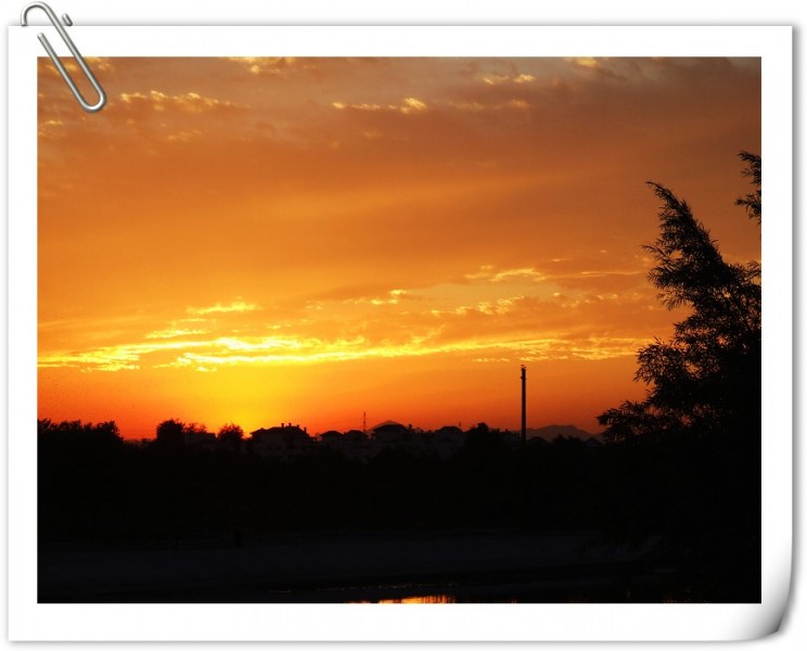 DSCF6240.jpg