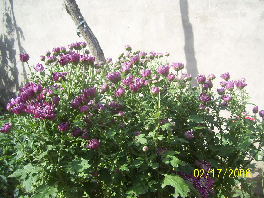 照片 034.jpg