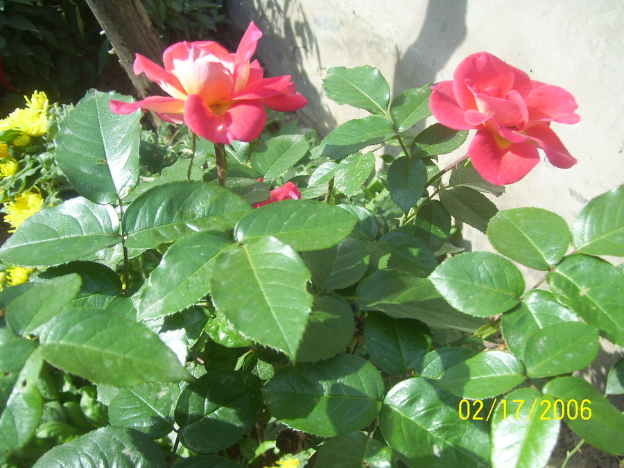 照片 035.jpg
