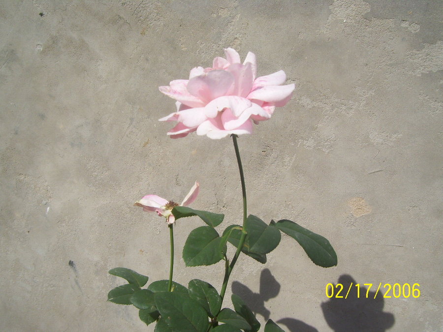照片 036.jpg
