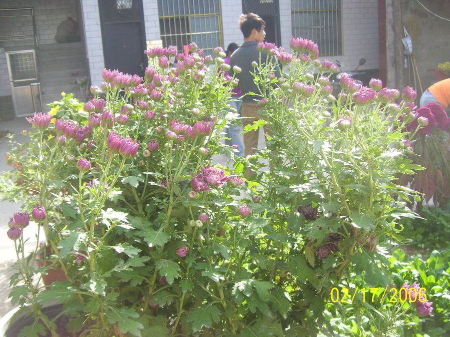 照片 051.jpg