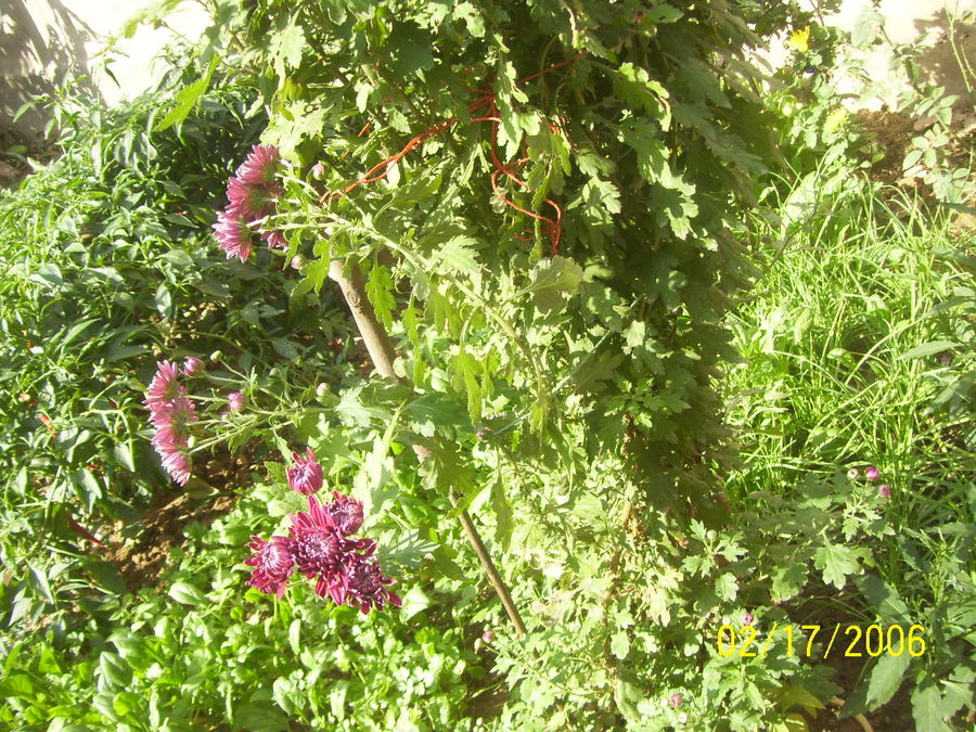 照片 030.jpg