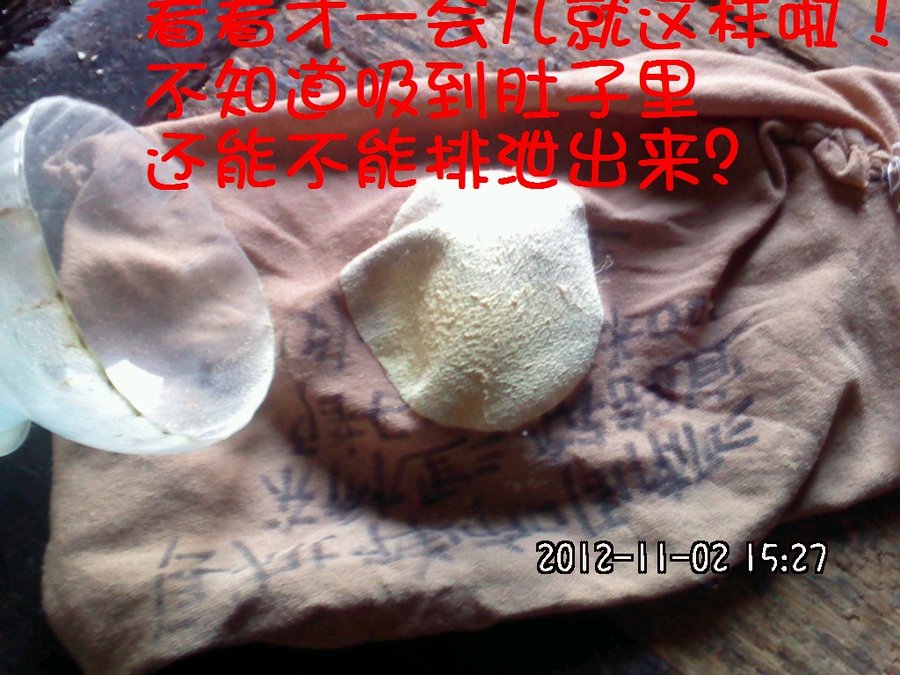 2012004.jpg