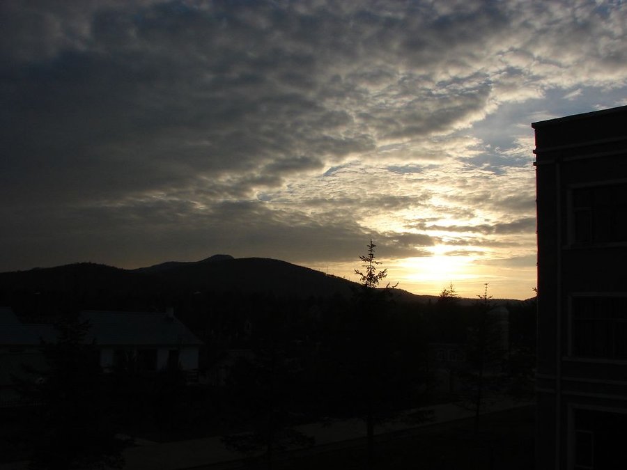 41220.827103588_DSC01731.JPG