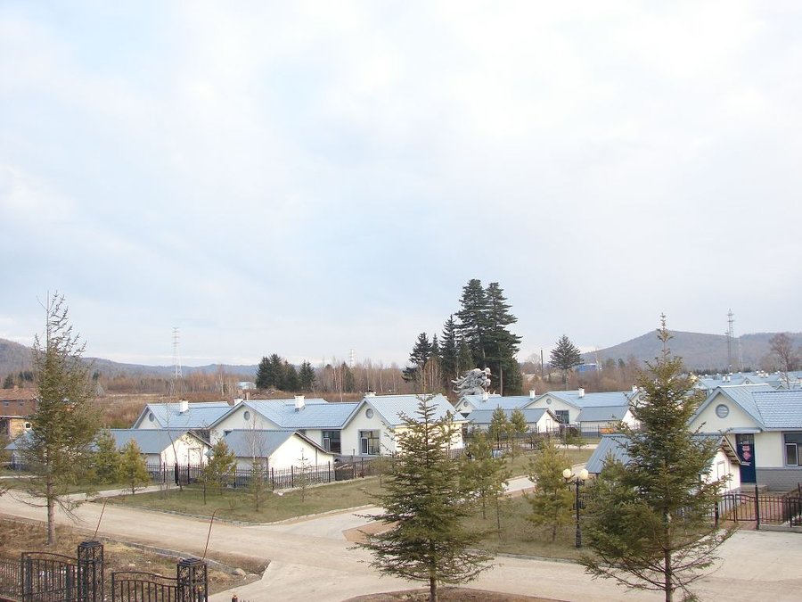 41220.827096169_DSC01730.JPG