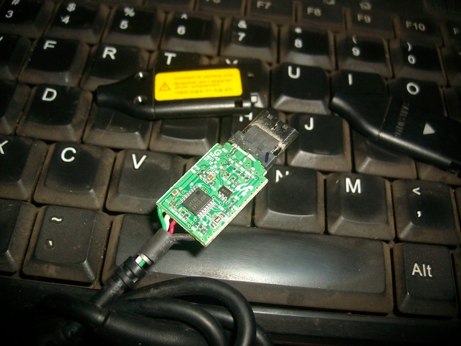 IMG05953.JPG