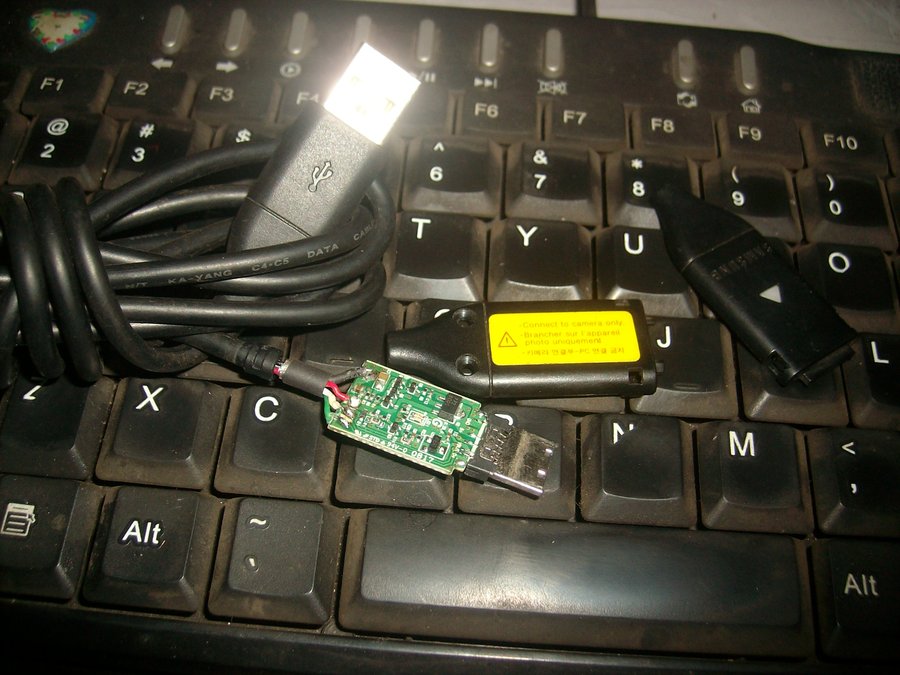 IMG05954.JPG