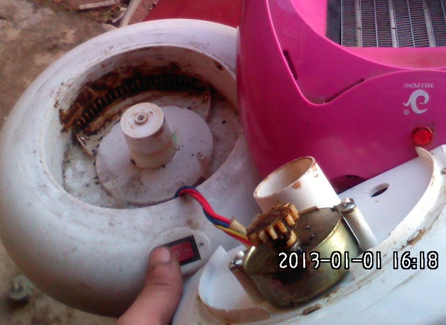 2012519.jpg