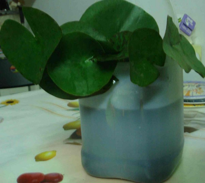 花筒.jpg