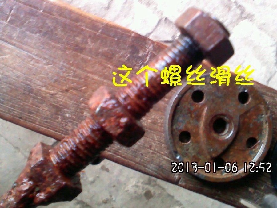 2012546.jpg