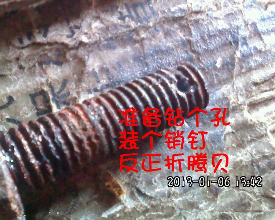 2012547.jpg