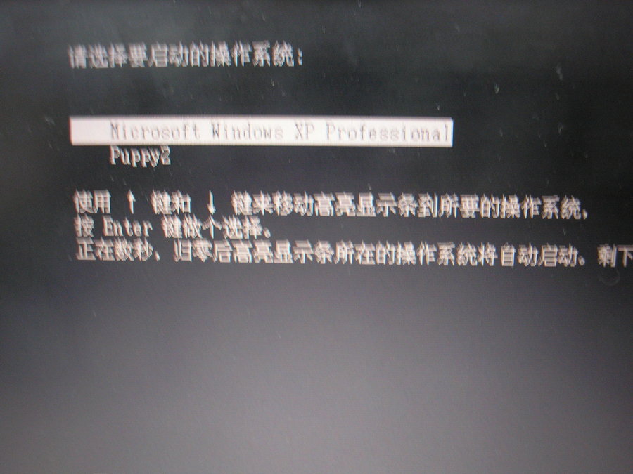 P1010016.JPG