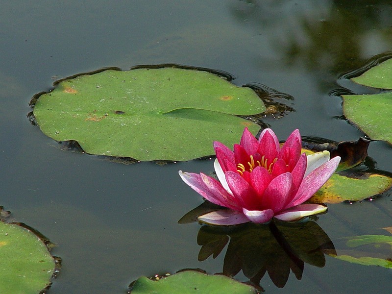 DSC01789.0.jpg