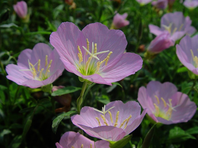 DSC01829.0.jpg