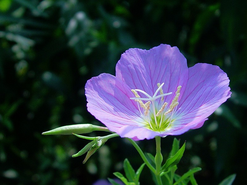 DSC01943.0.jpg