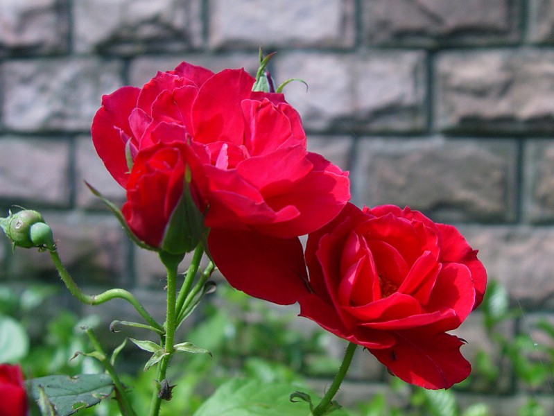 DSC01970.0.jpg