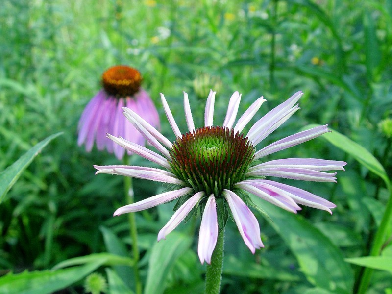 DSC01981.0.jpg