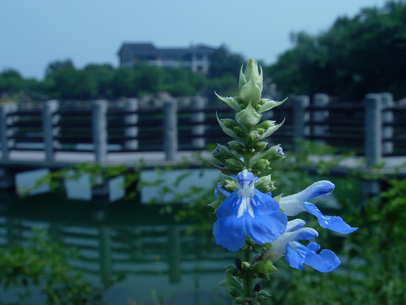 DSC01994.0.jpg